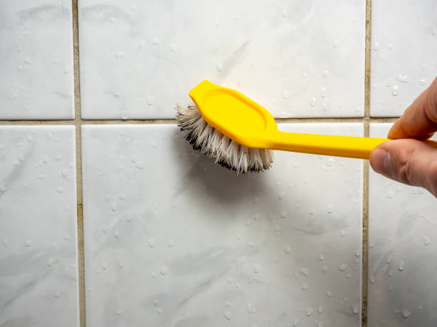 Best Mold Testing and Inspection Services in Orrville, OH