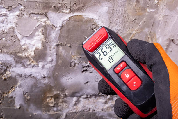 Orrville, OH Mold Remediation Company